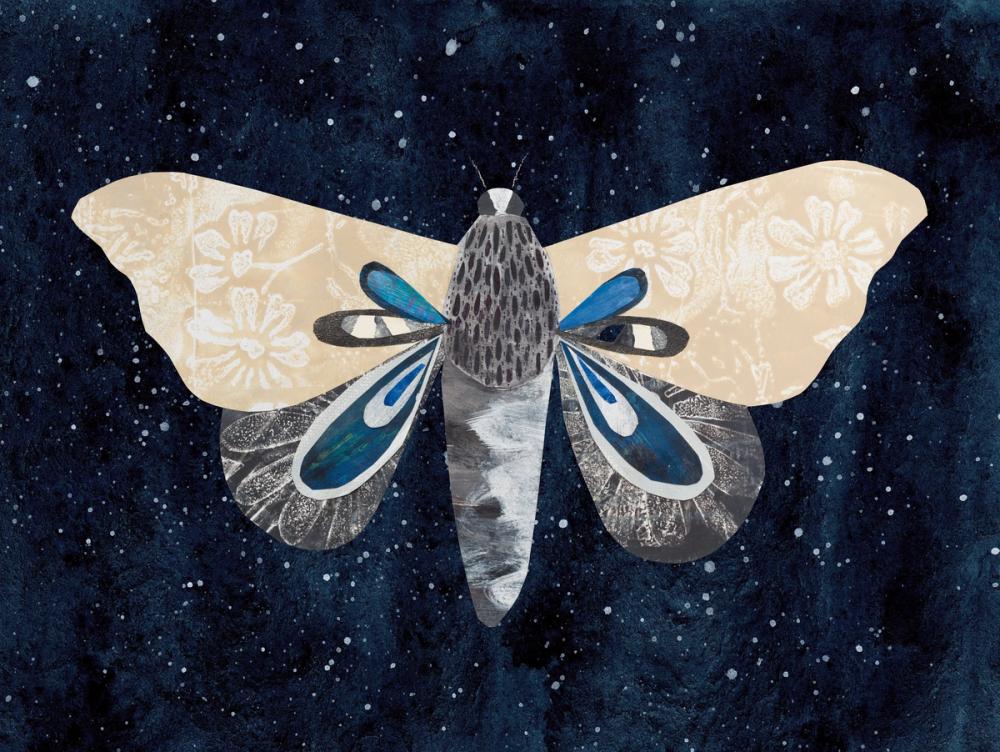 Elegant Moth I
