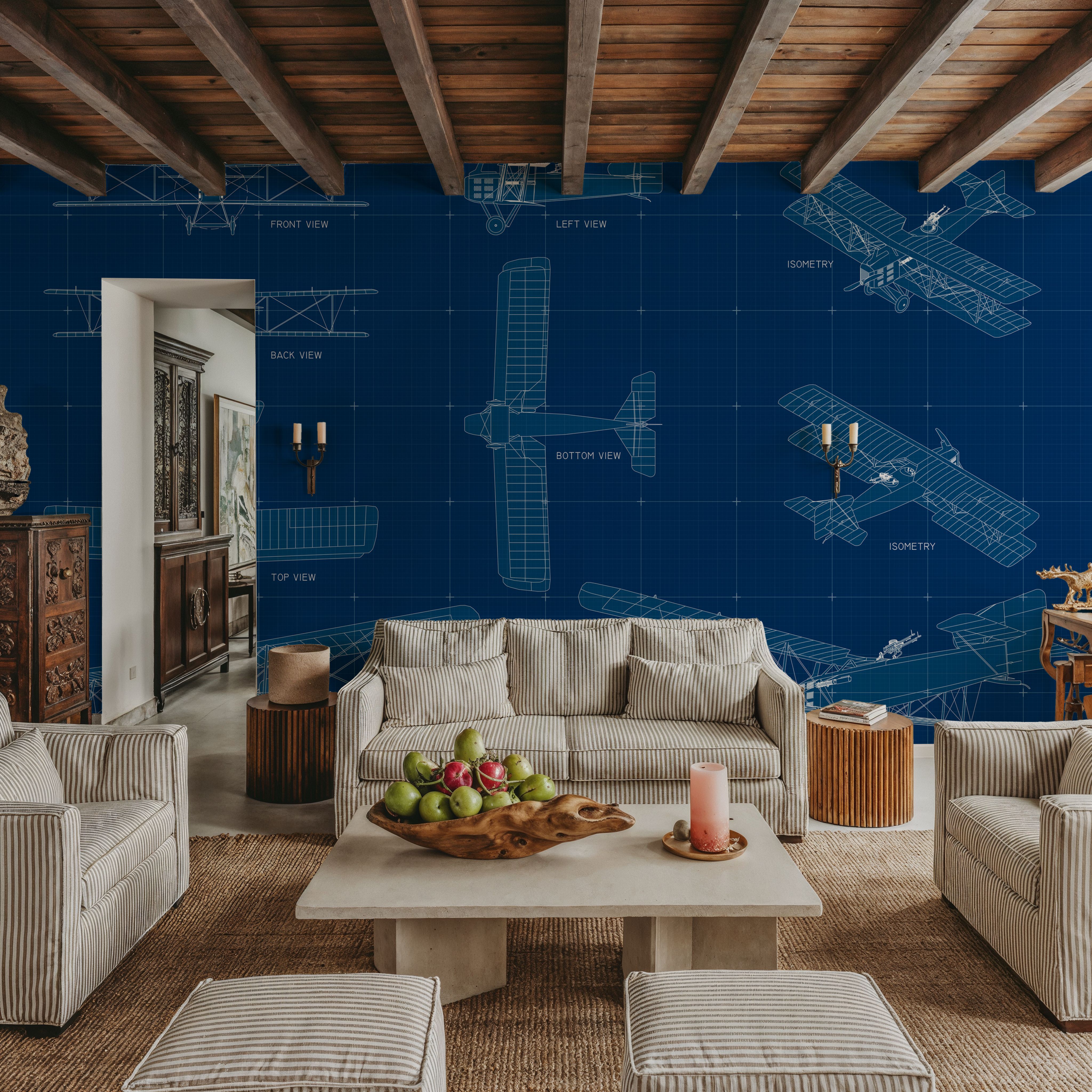 Biplane Blueprint