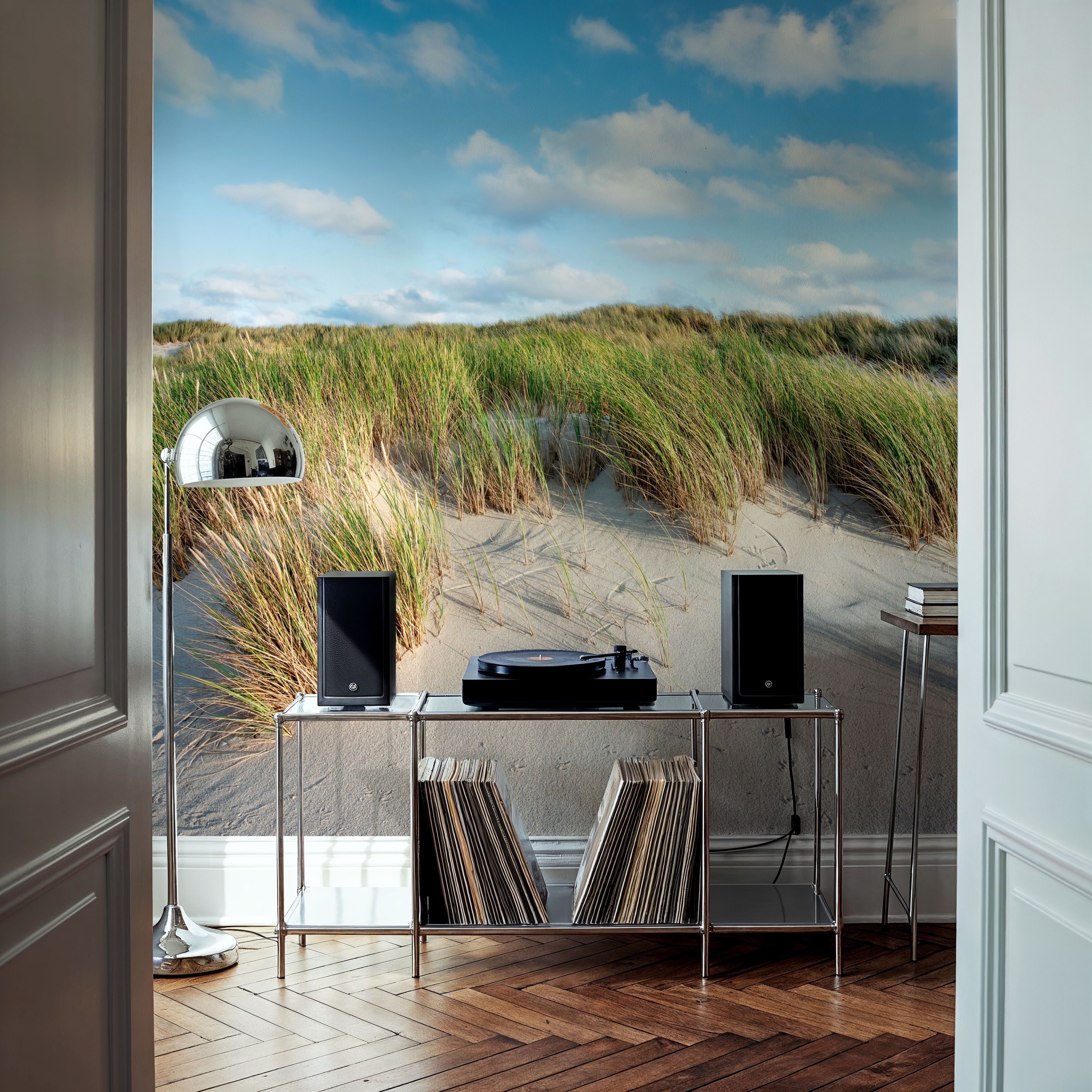 Beach Dunes