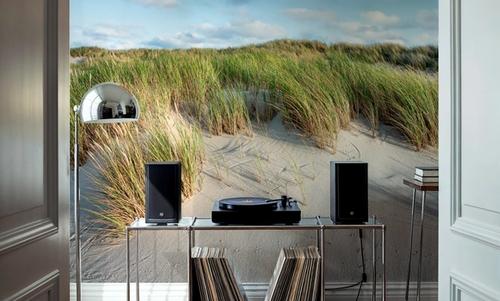 Beach Dunes