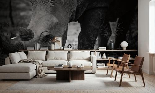 Rhino