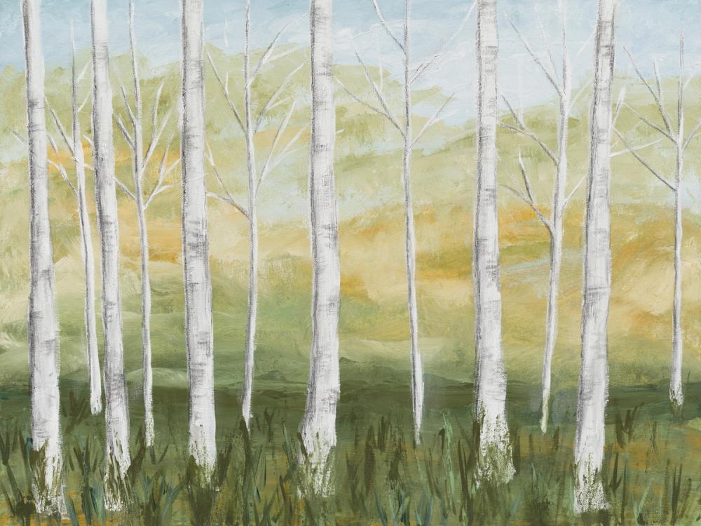 Birch Forest