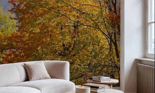 Autumn Mountain Glow