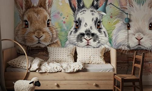 Rabbits - Cute Baby Animals Series