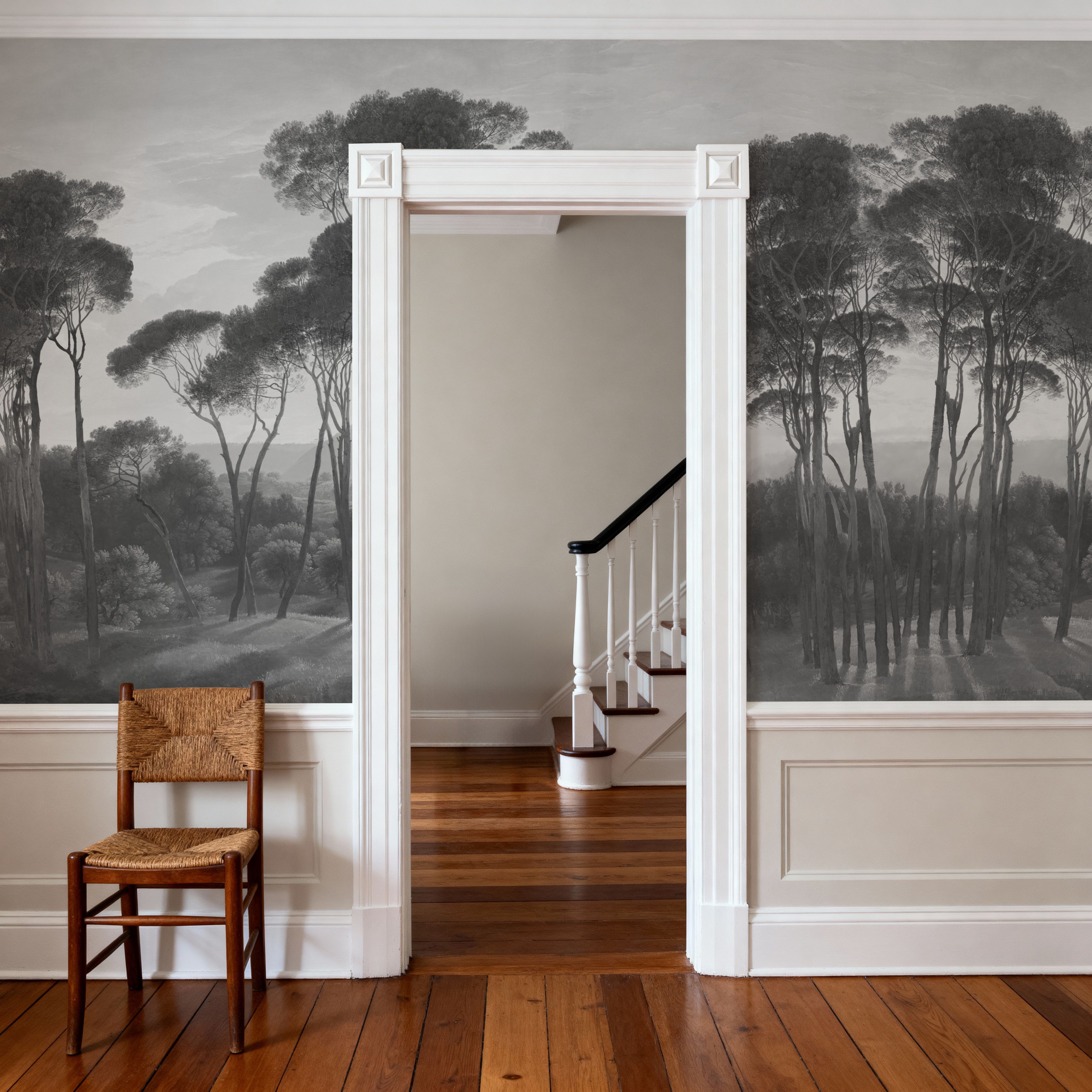 Mediterranean Pine Landscape, Gray