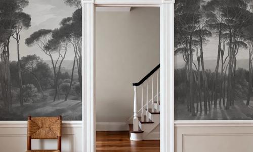 Mediterranean Pine Landscape, Gray