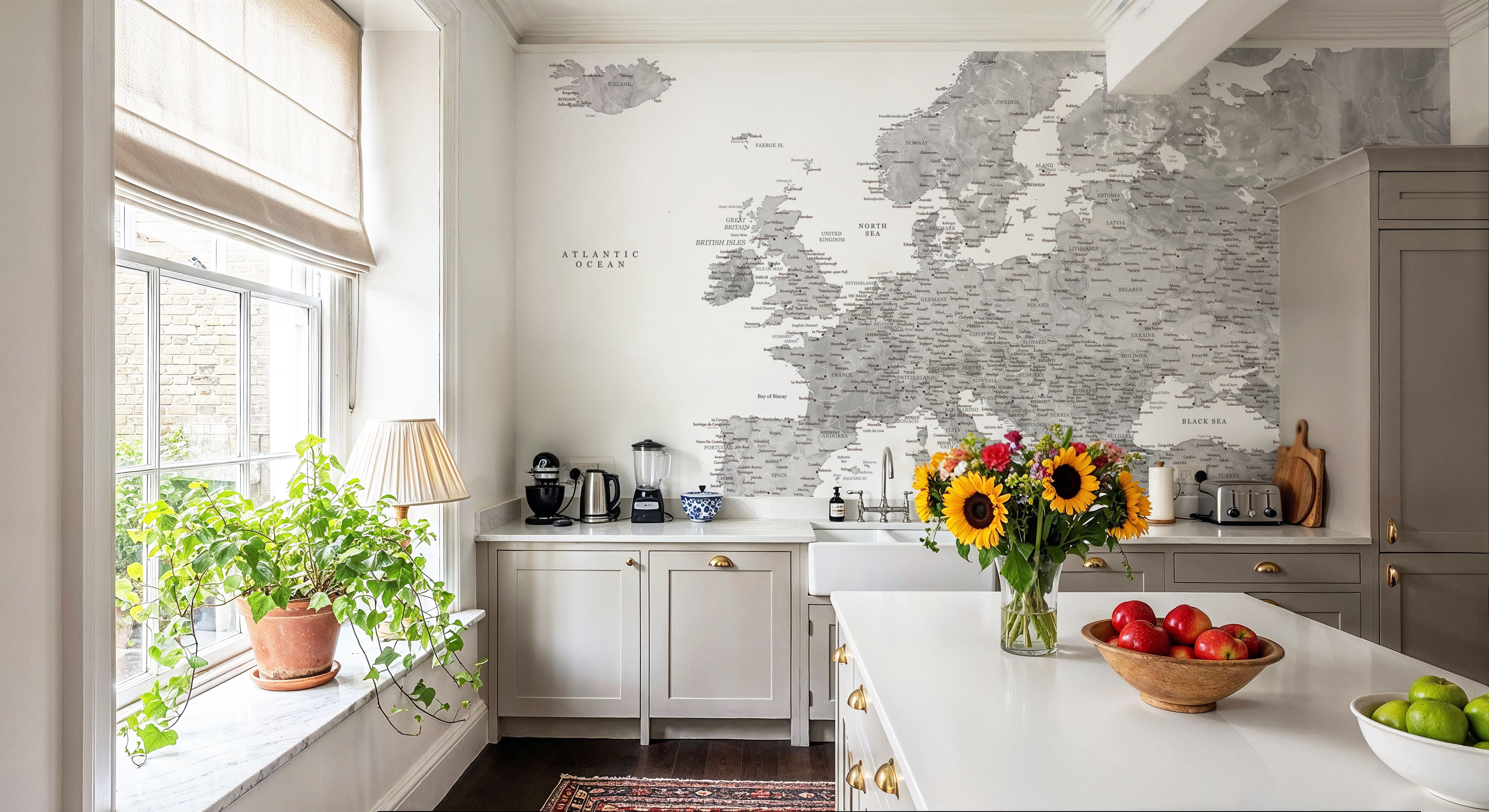 Europe Map Detailed - Jimmy