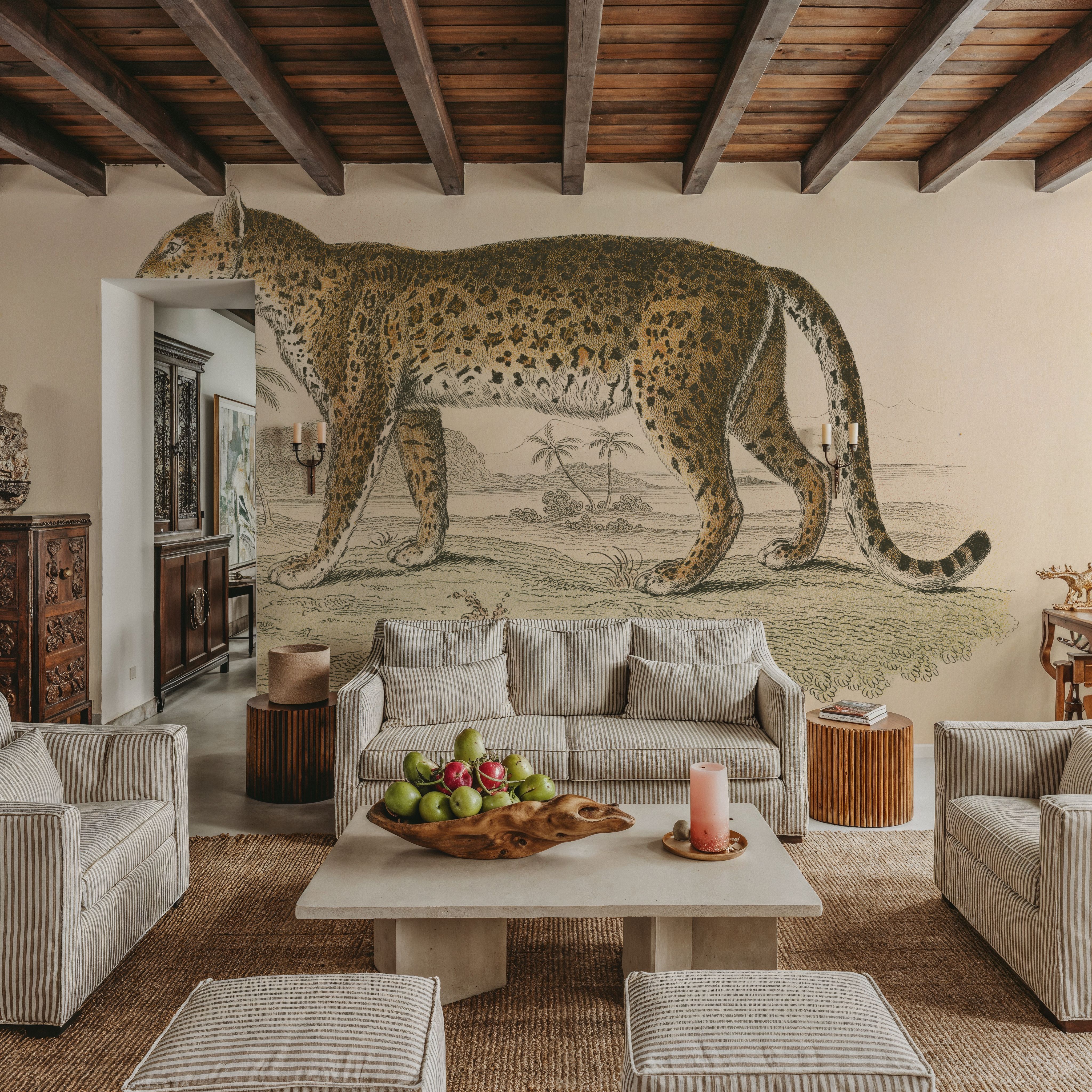 Animals of Africa II