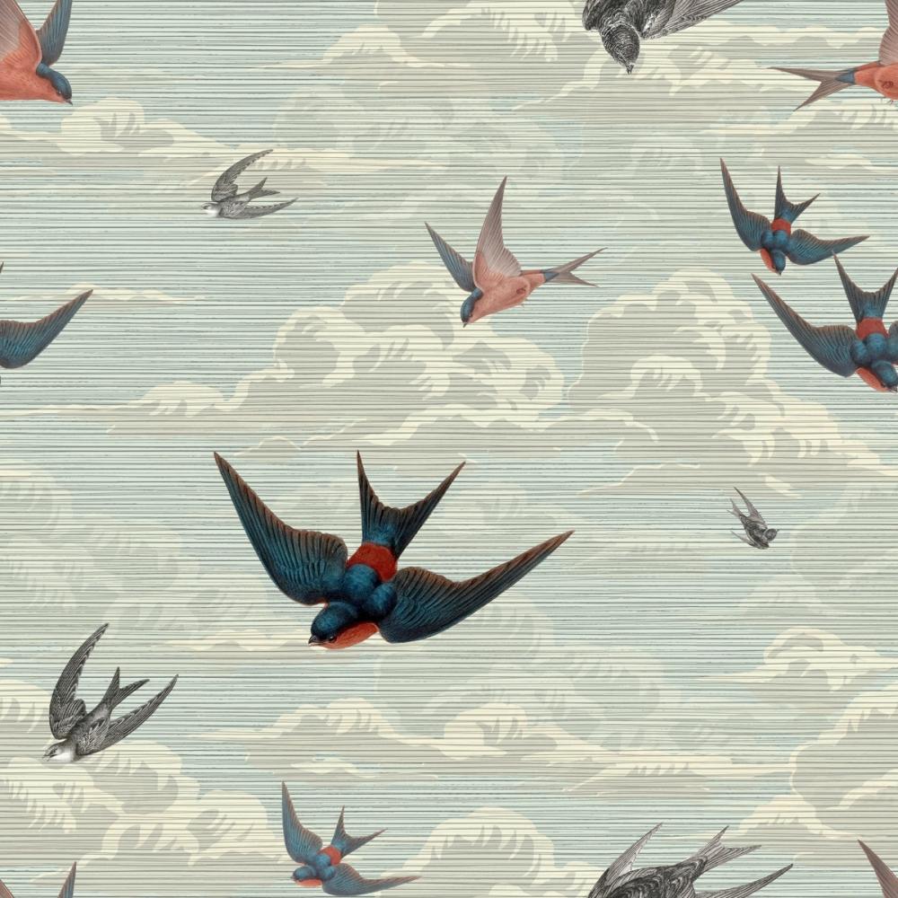 Hirundo Rustica