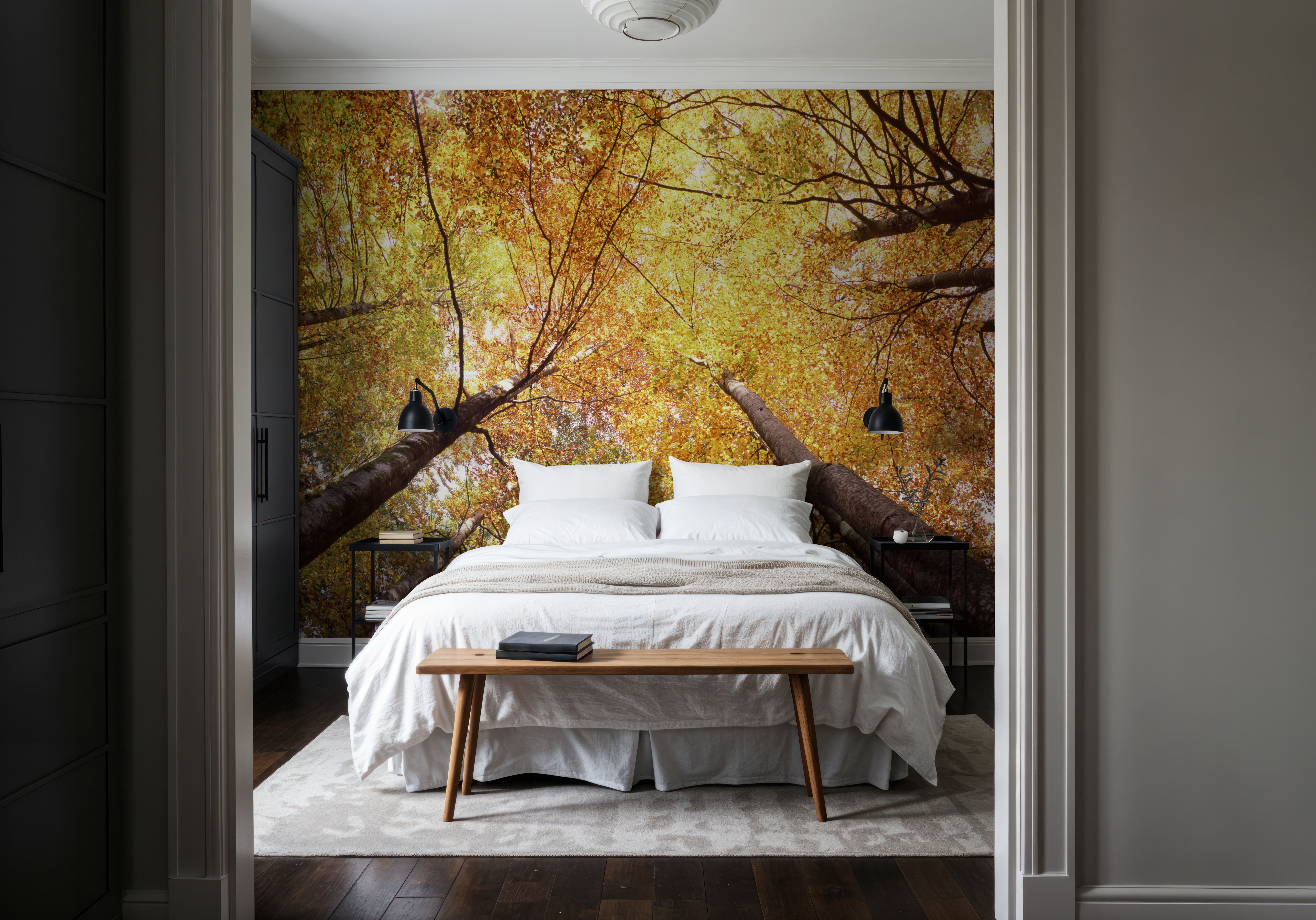Autumn Canopy Glow