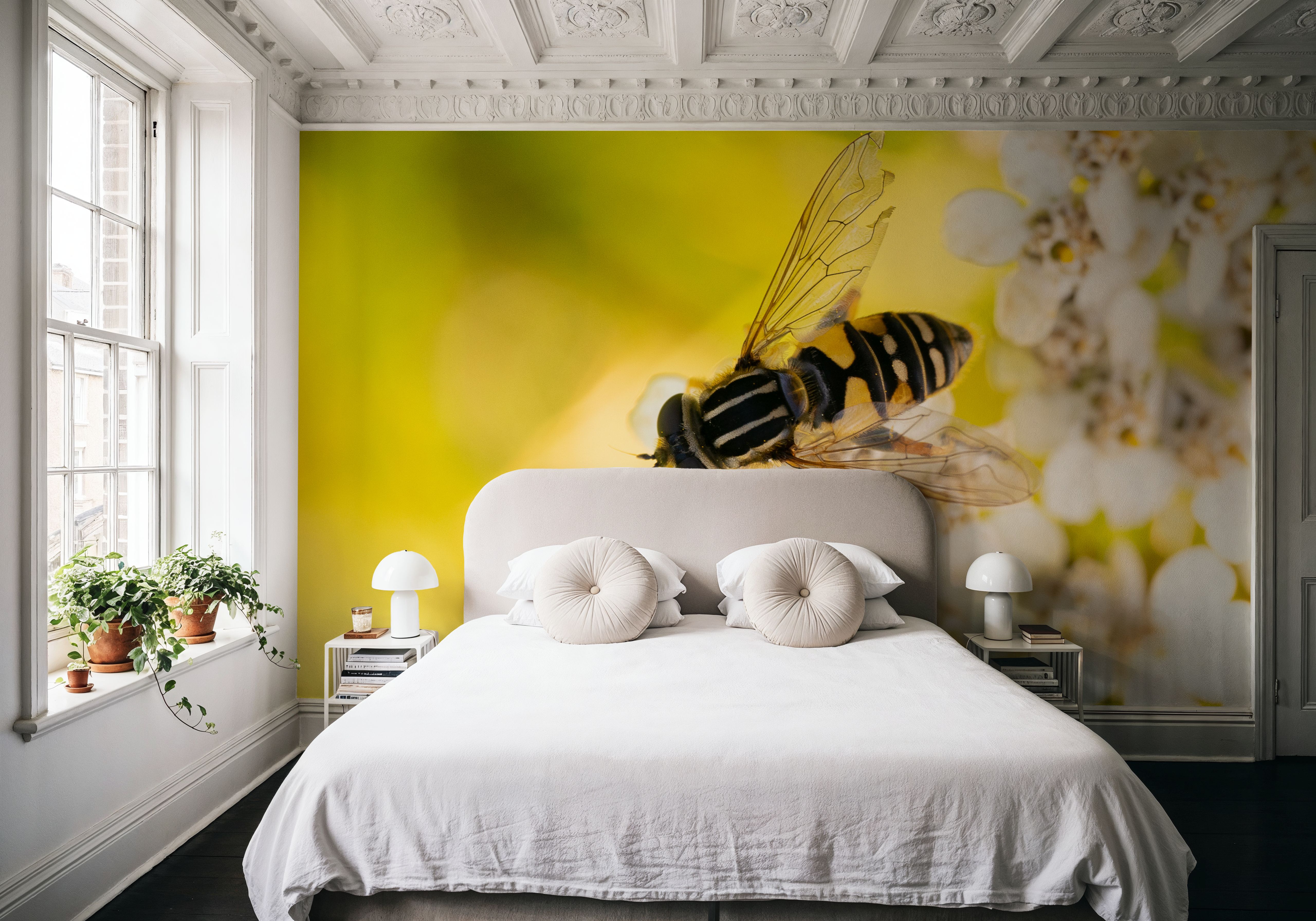 Fragile Wings, Wallpaper