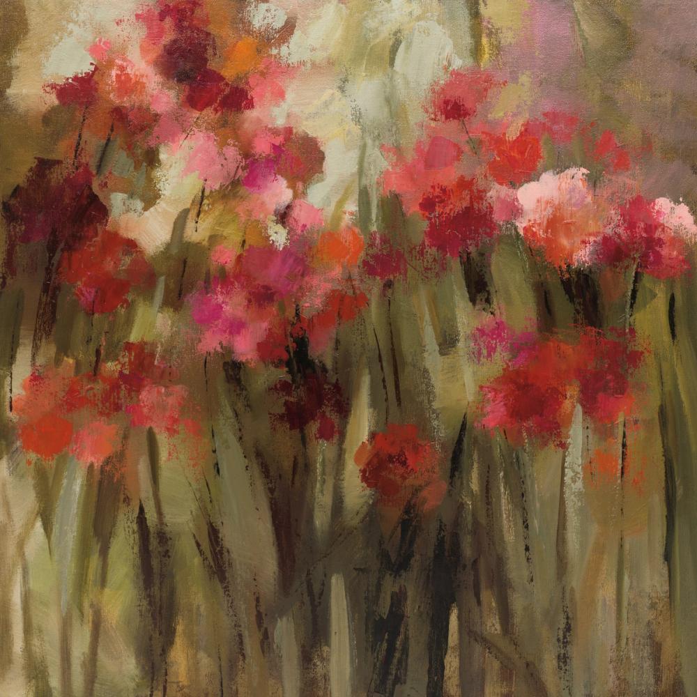 Wild Carnations