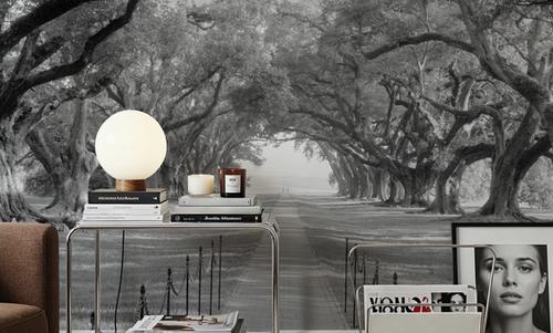 Timeless Oak Alley