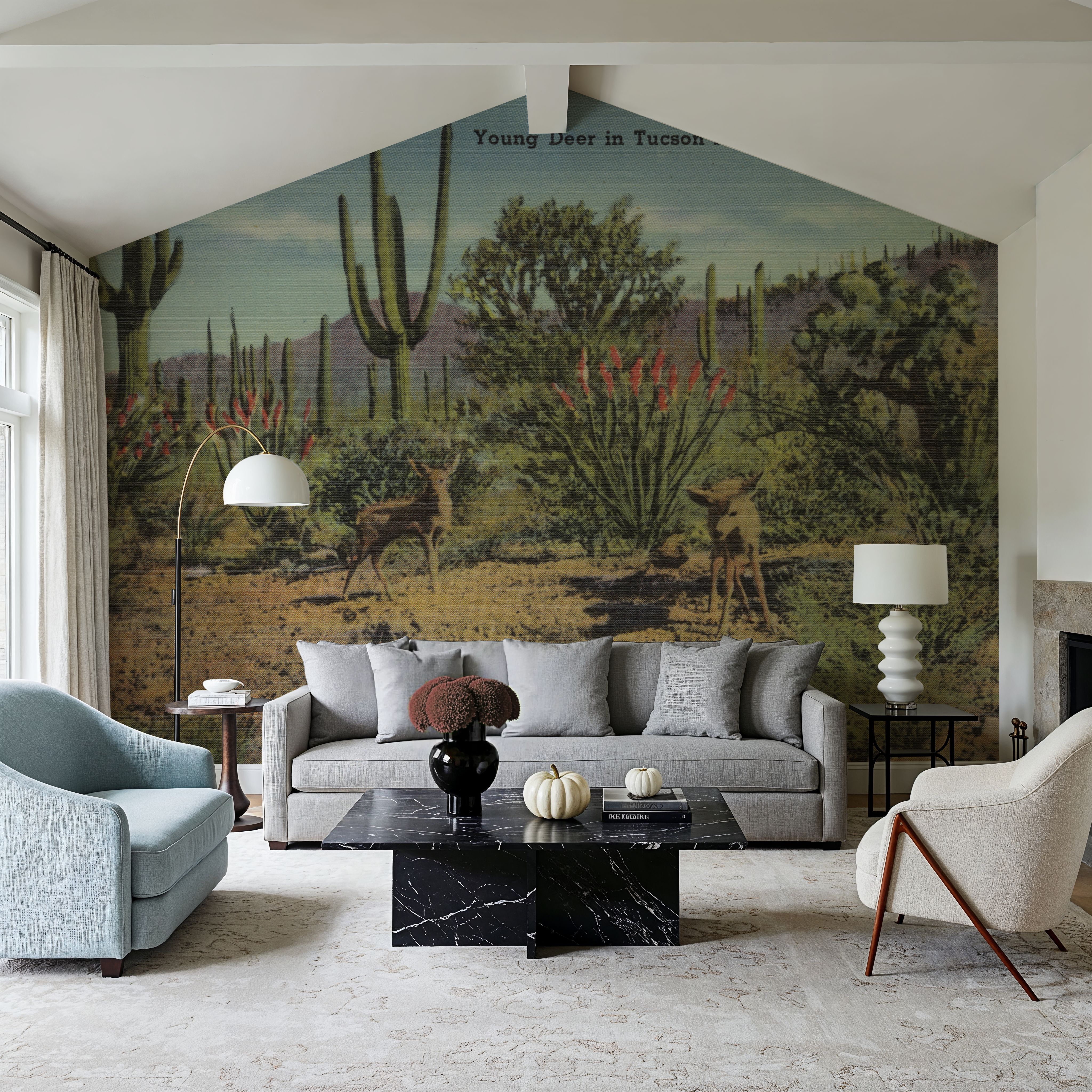 Greetings from Tucson Moutain Park - Screenprint Postcard