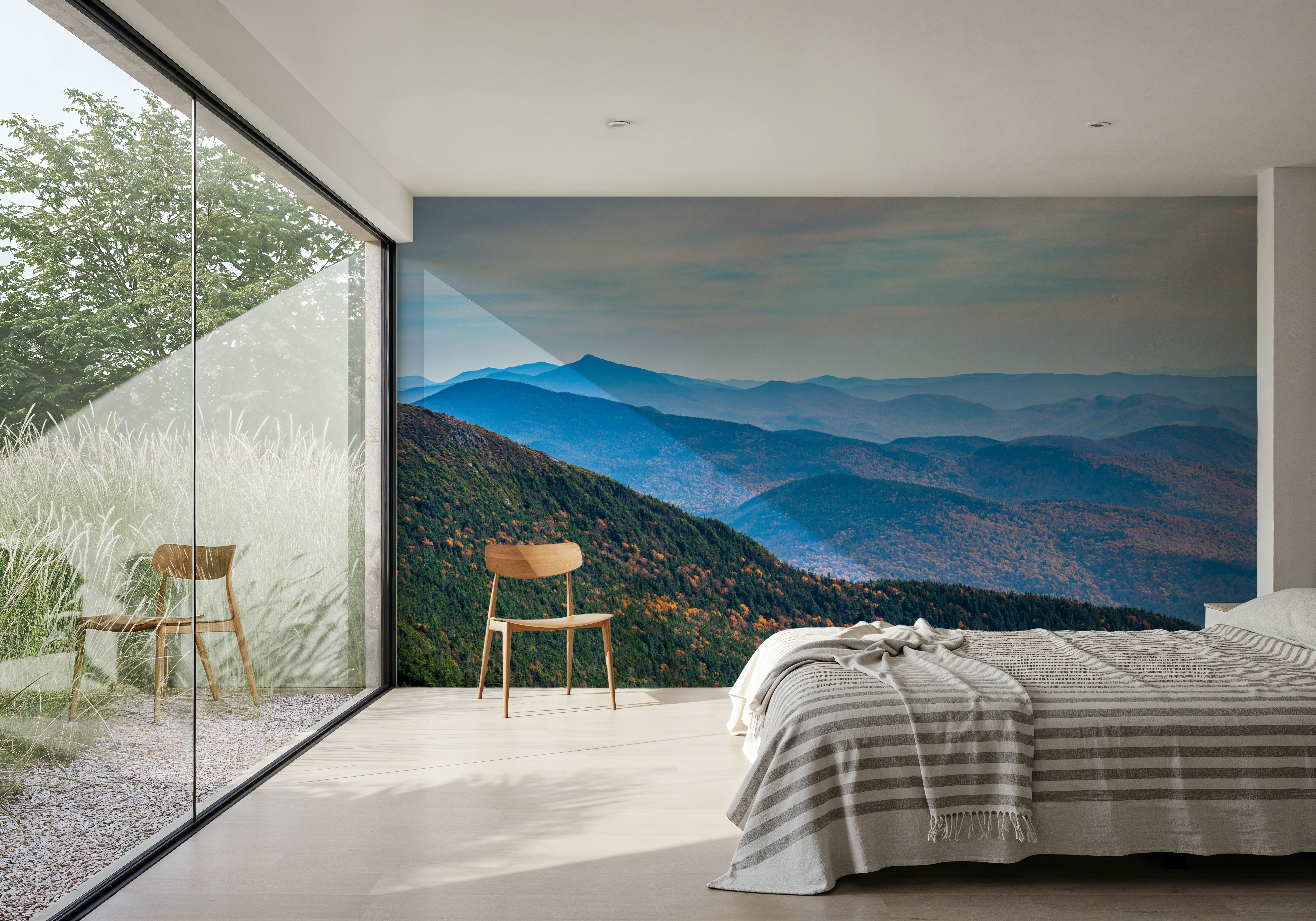 Rolling Forest Vista