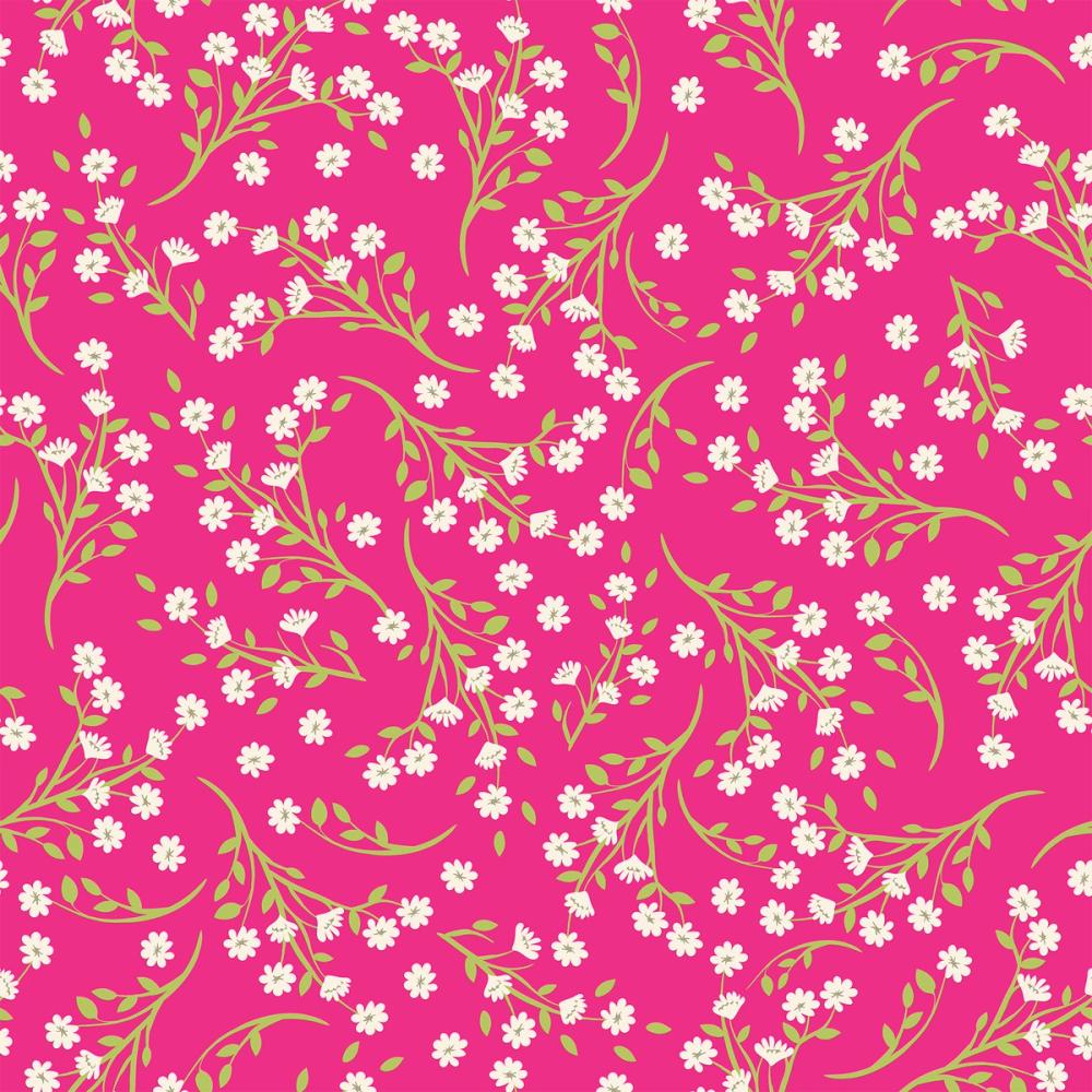 Mouse Ear Chickweed, Pink