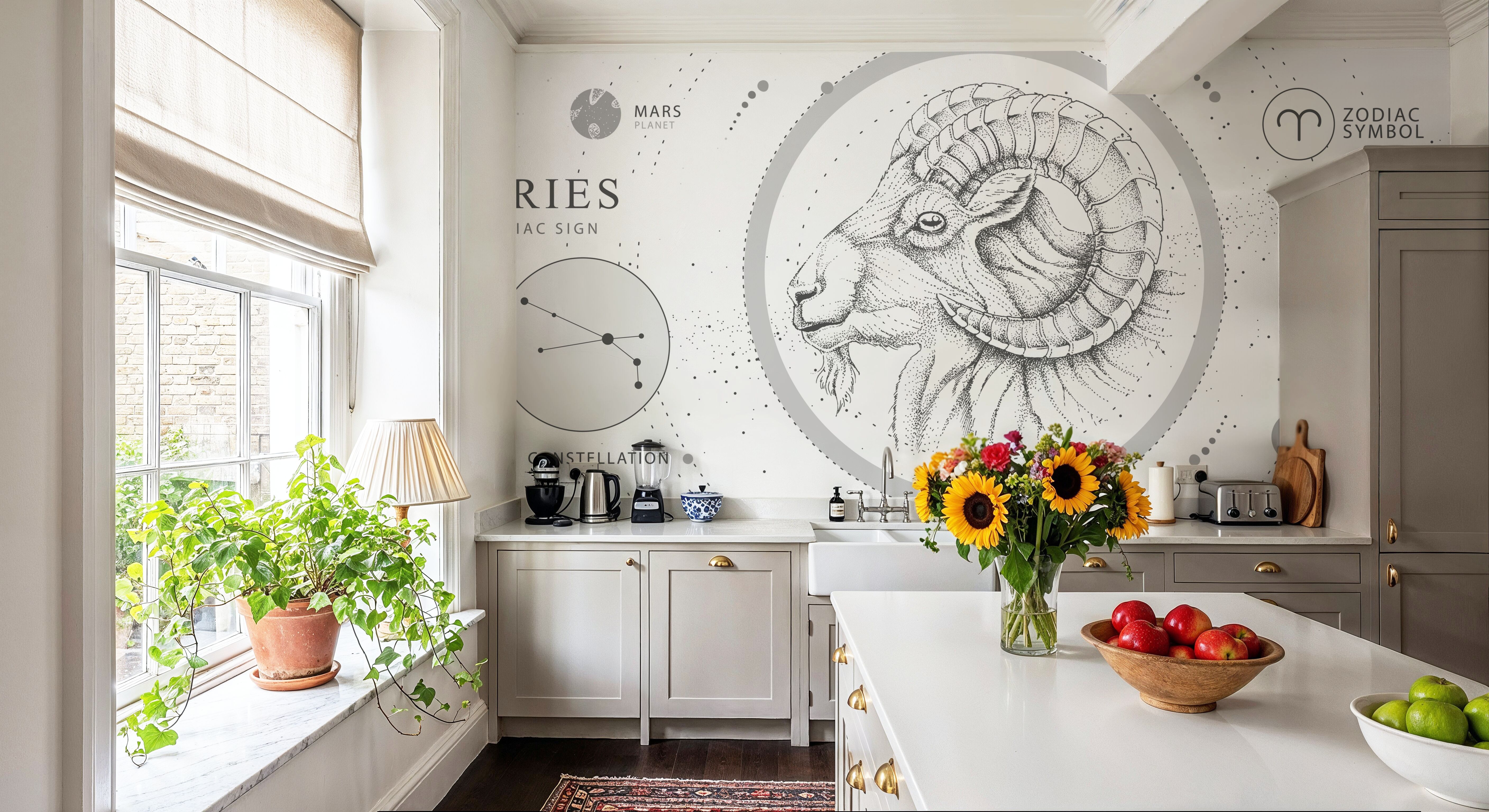 Aries Zodiac
