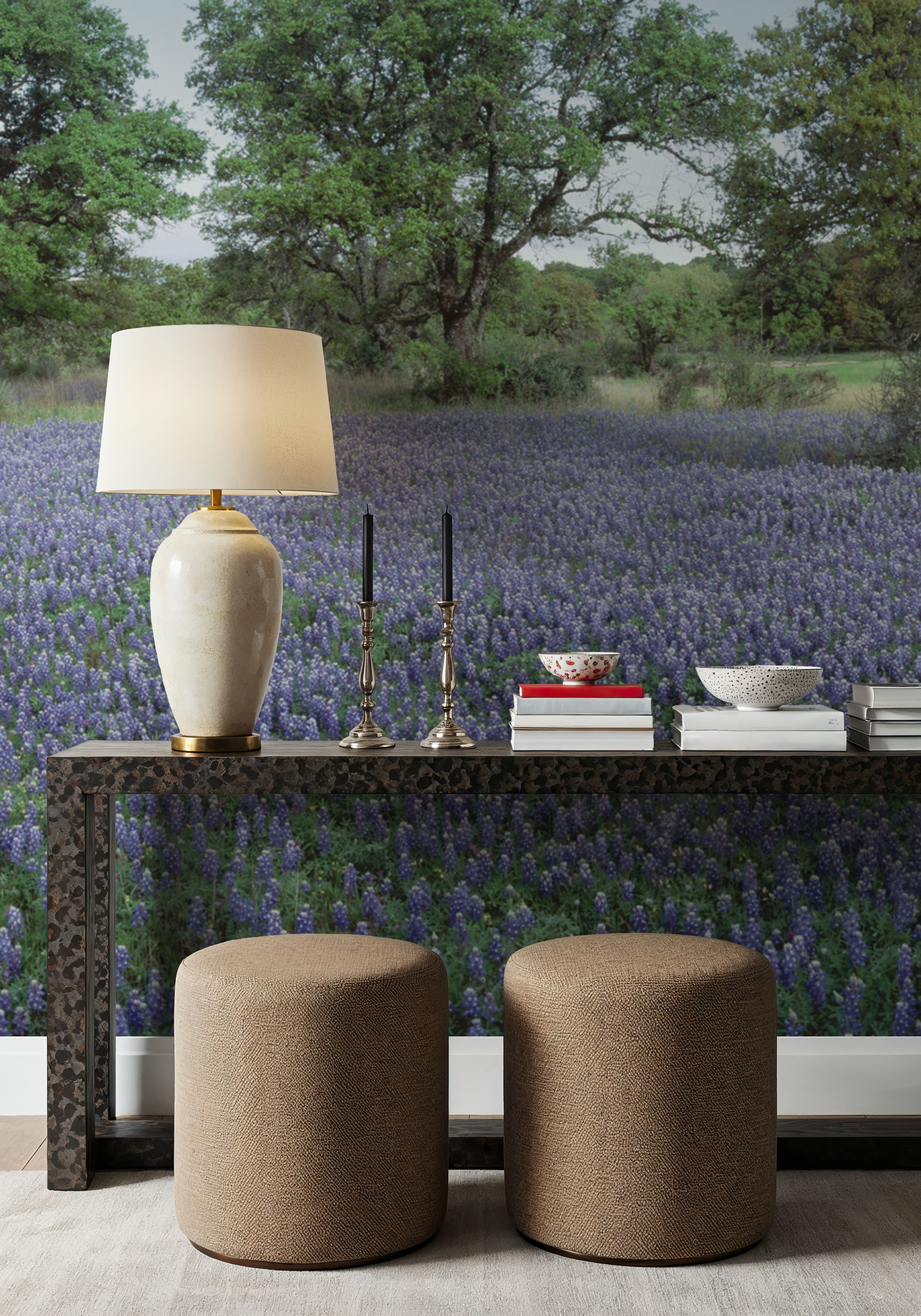 Texas Bluebonnet Paradise