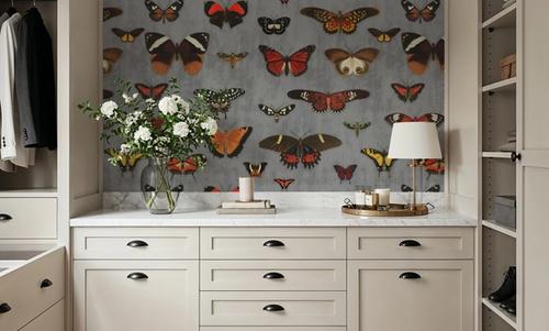 Butterfly Collection Gray