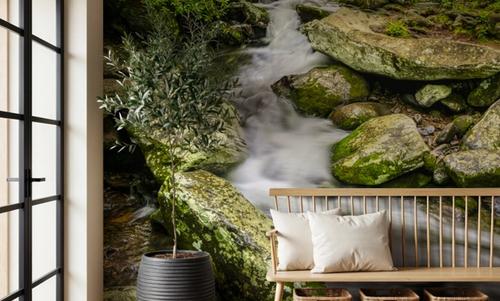 Woodland Cascade