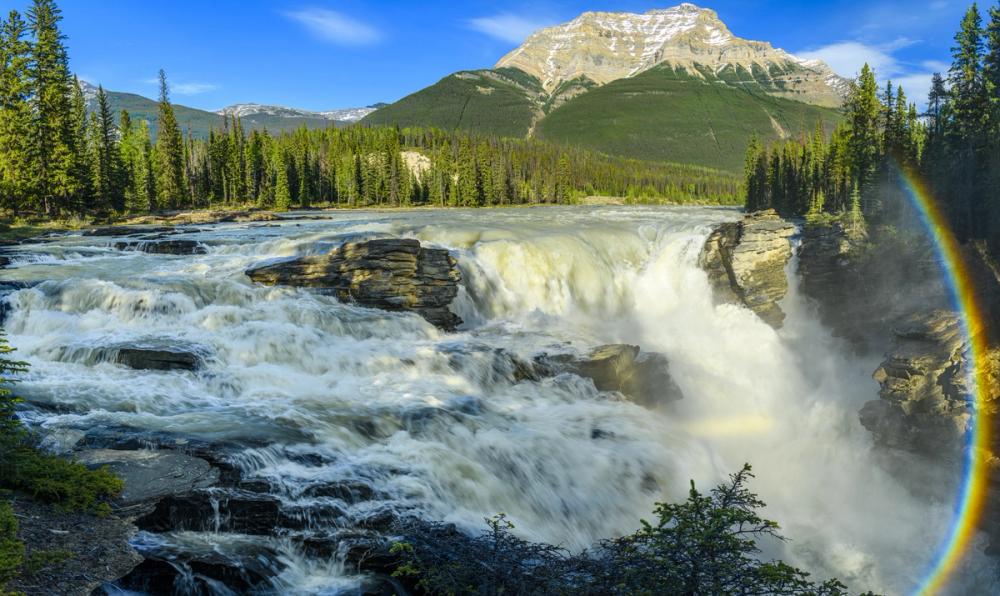 Athabasca River Falls