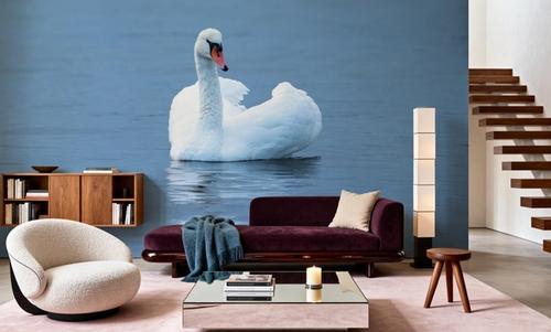 White Swan