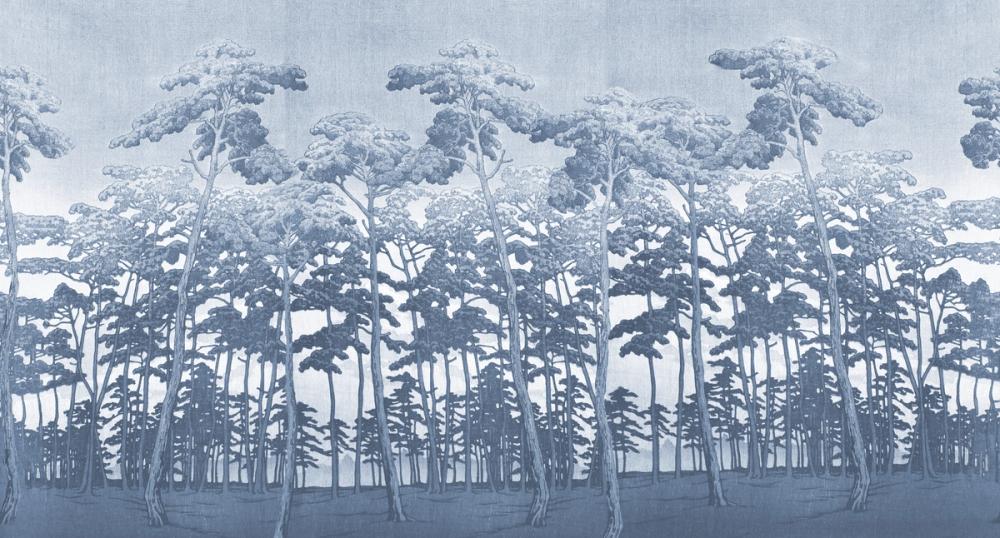 Tranquil Pinescape, Sky