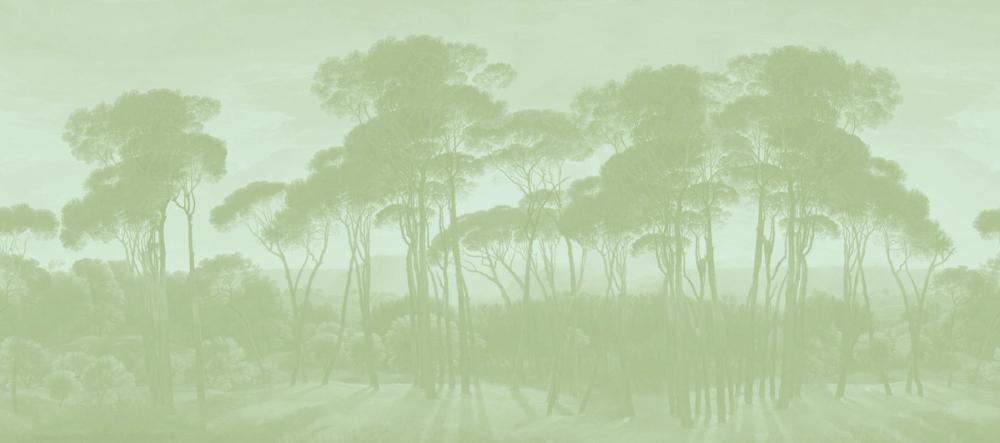 Mediterranean Pine Landscape, Pistachio