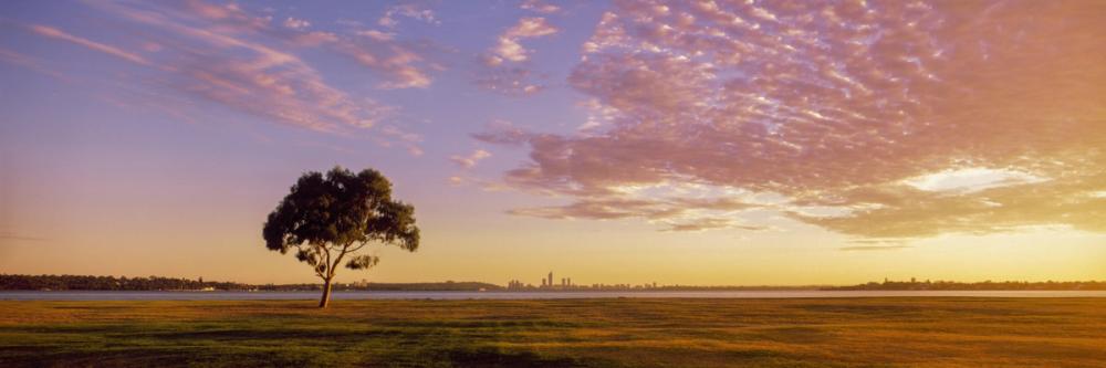 Twilight Solitude Orange