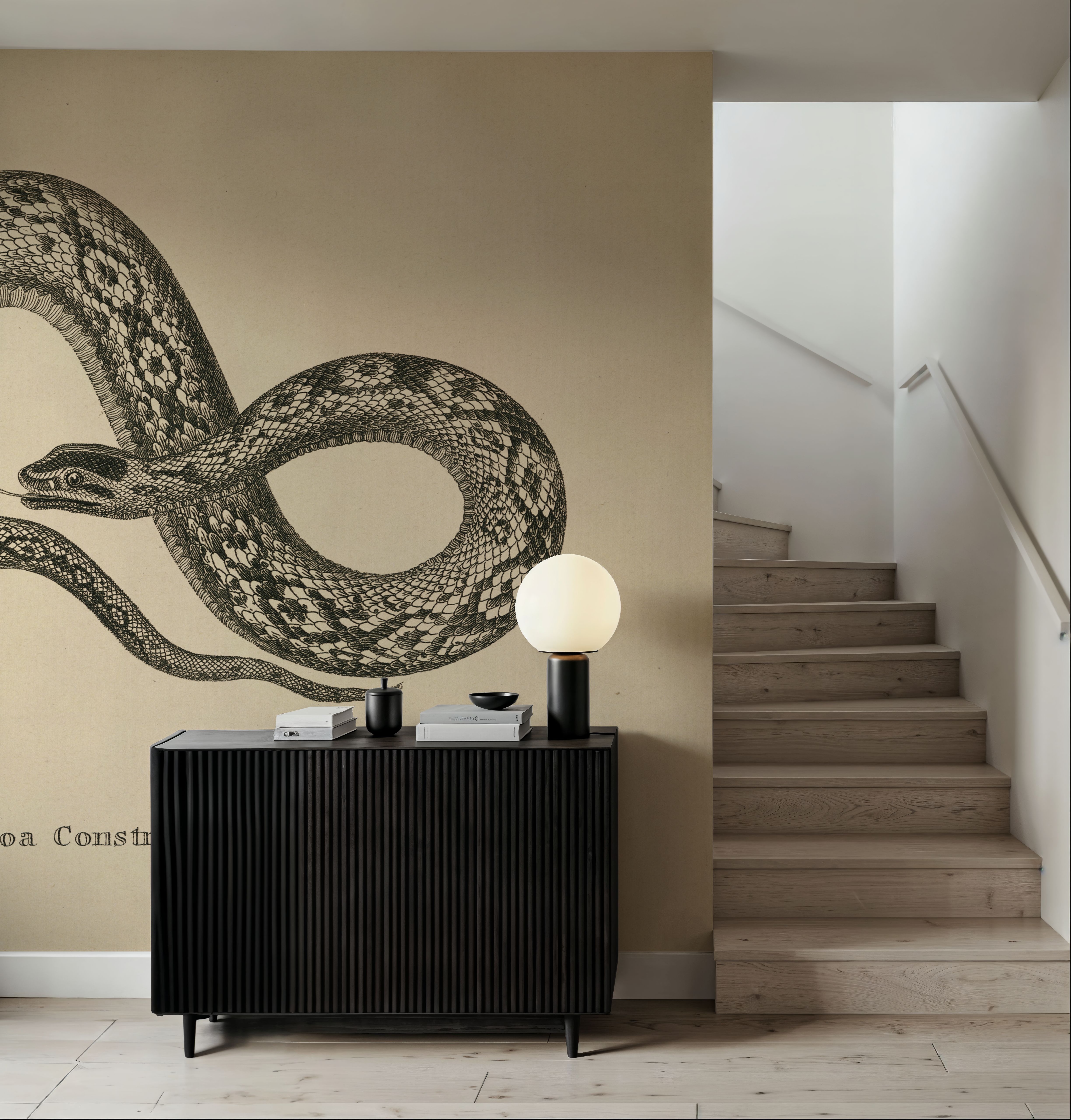 Vintage Boa Constrictor