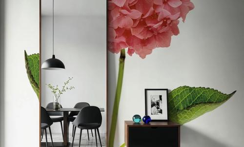 Providence Hydrangea I