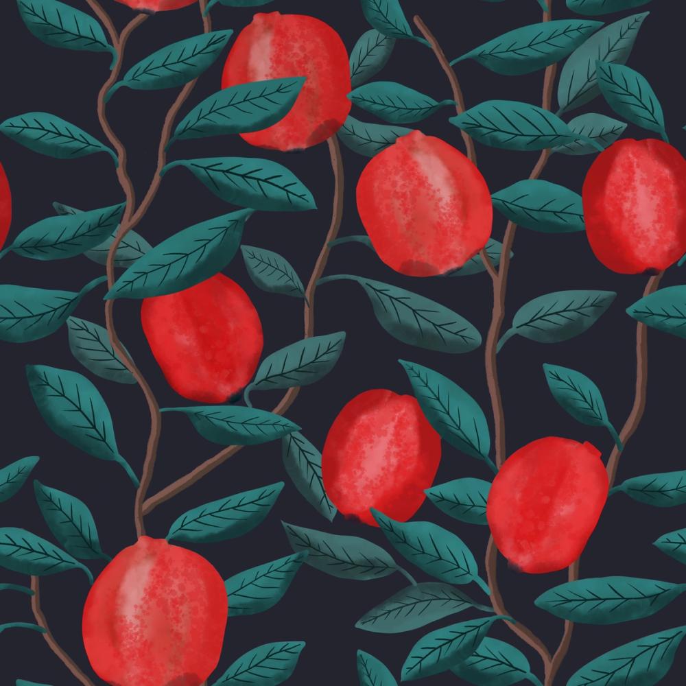 Pomegranate, Midnight