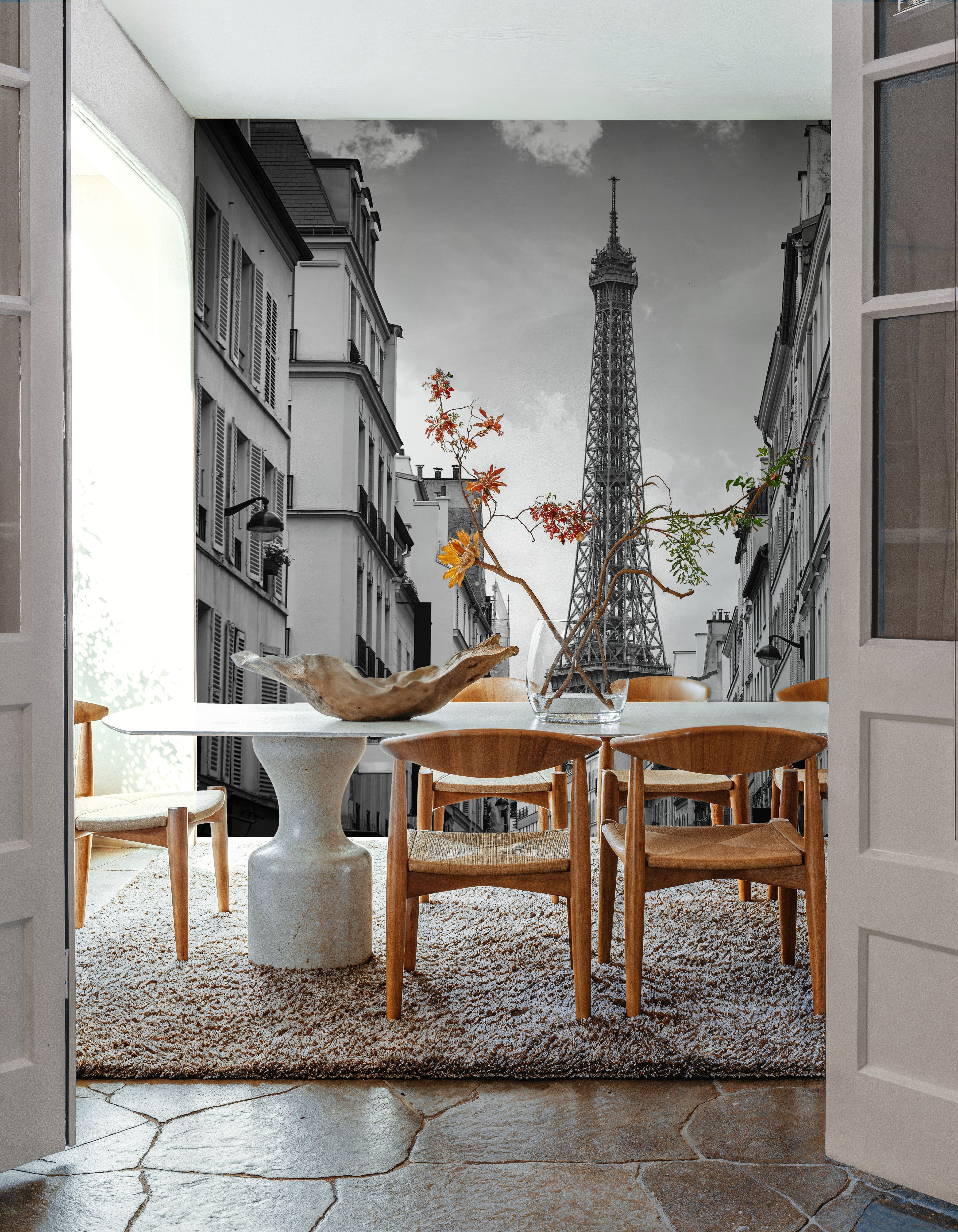 Eiffel Tower in Paris, Black & White