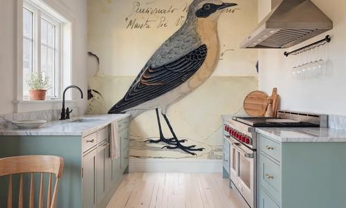 Wheatear