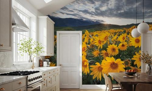 Methow Valley Wildflowers I