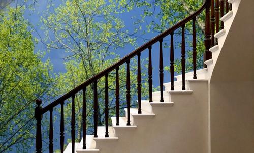 Skyward Canopy