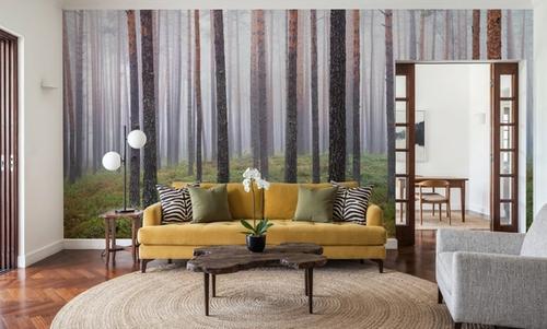 Hide and Seek Forest