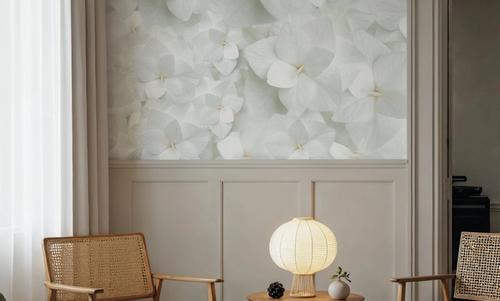 Hydrangea Whites