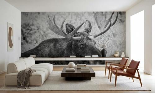 Close Moose