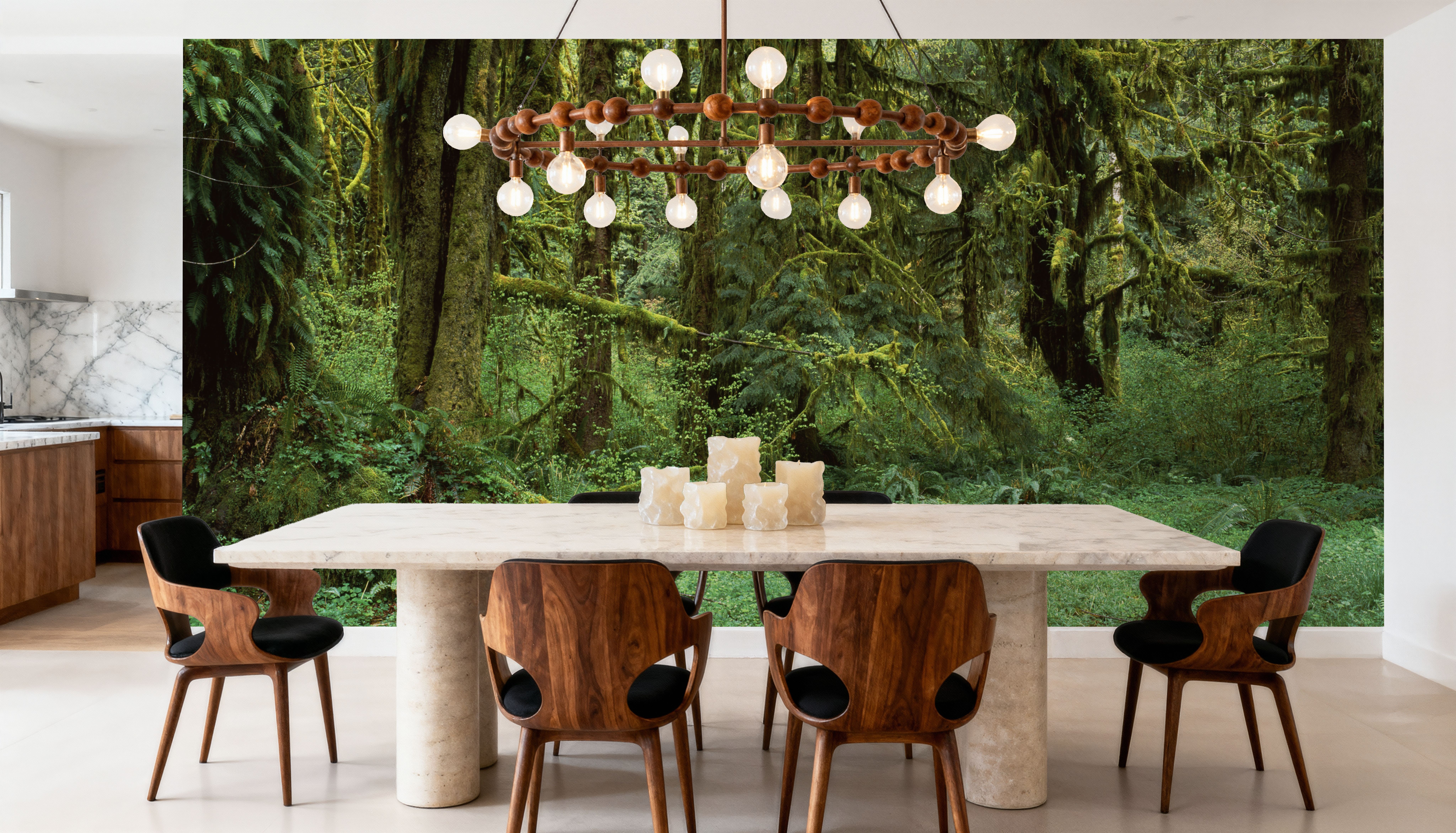 Hoh Rain Forest, Washington State