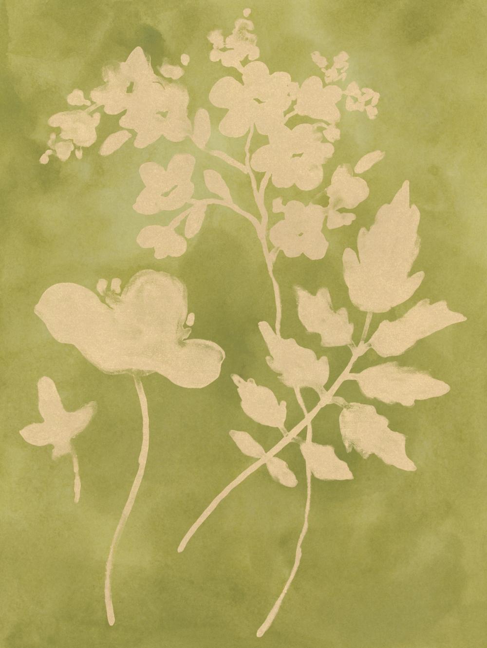 Sun Shadow Stems I