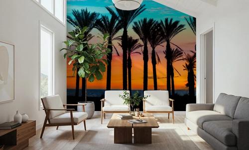Miami Palms