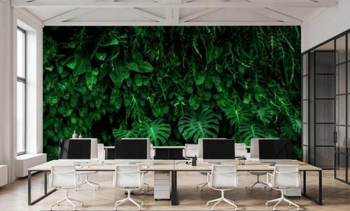 Deep Jungle