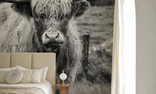 Happy Highland Portrait