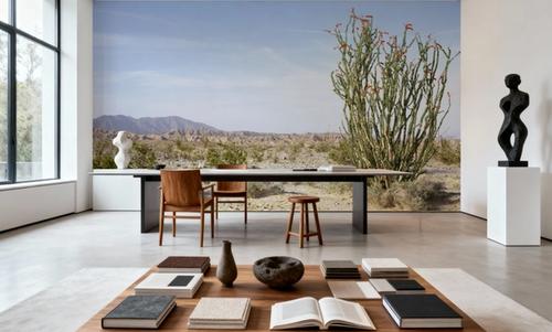 Desert Ocotillo
