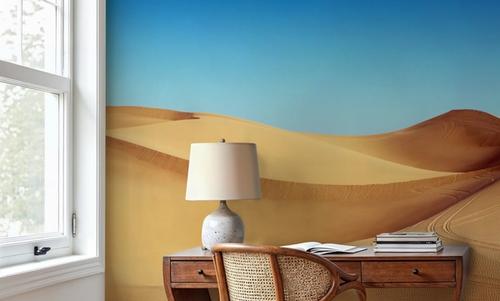 Imperial Sand Dunes
