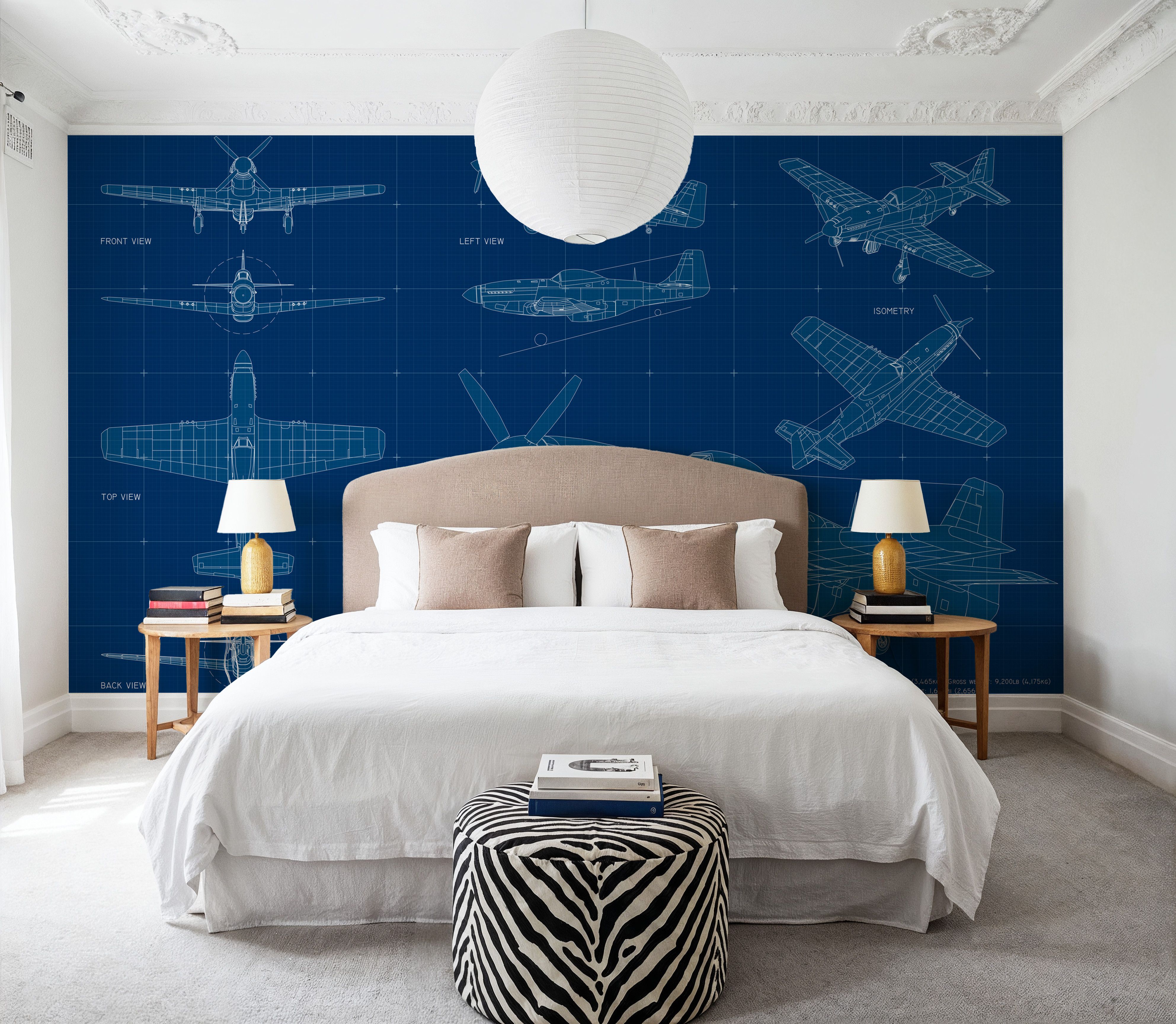 Old Plane Blueprint