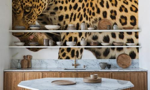 Leopard After Lunch