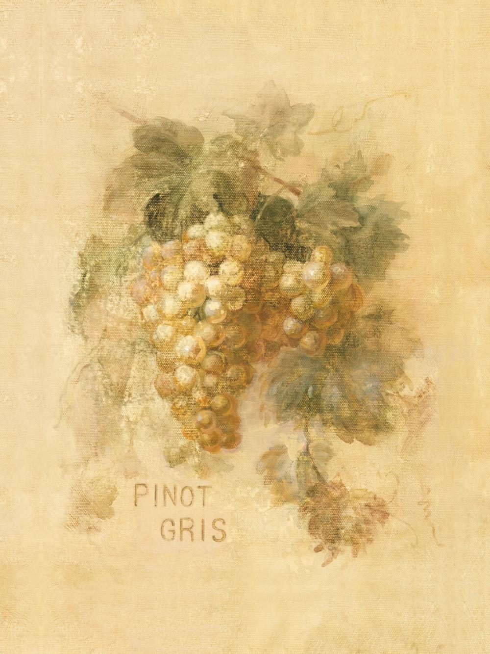 Pinot Gris