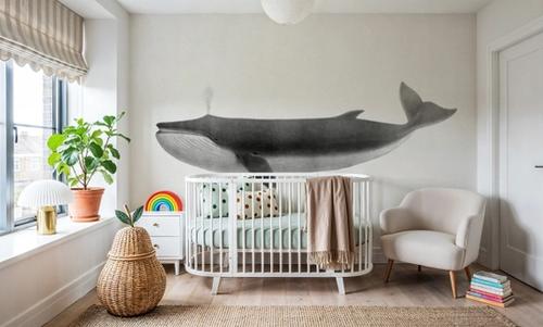 Fin Whale